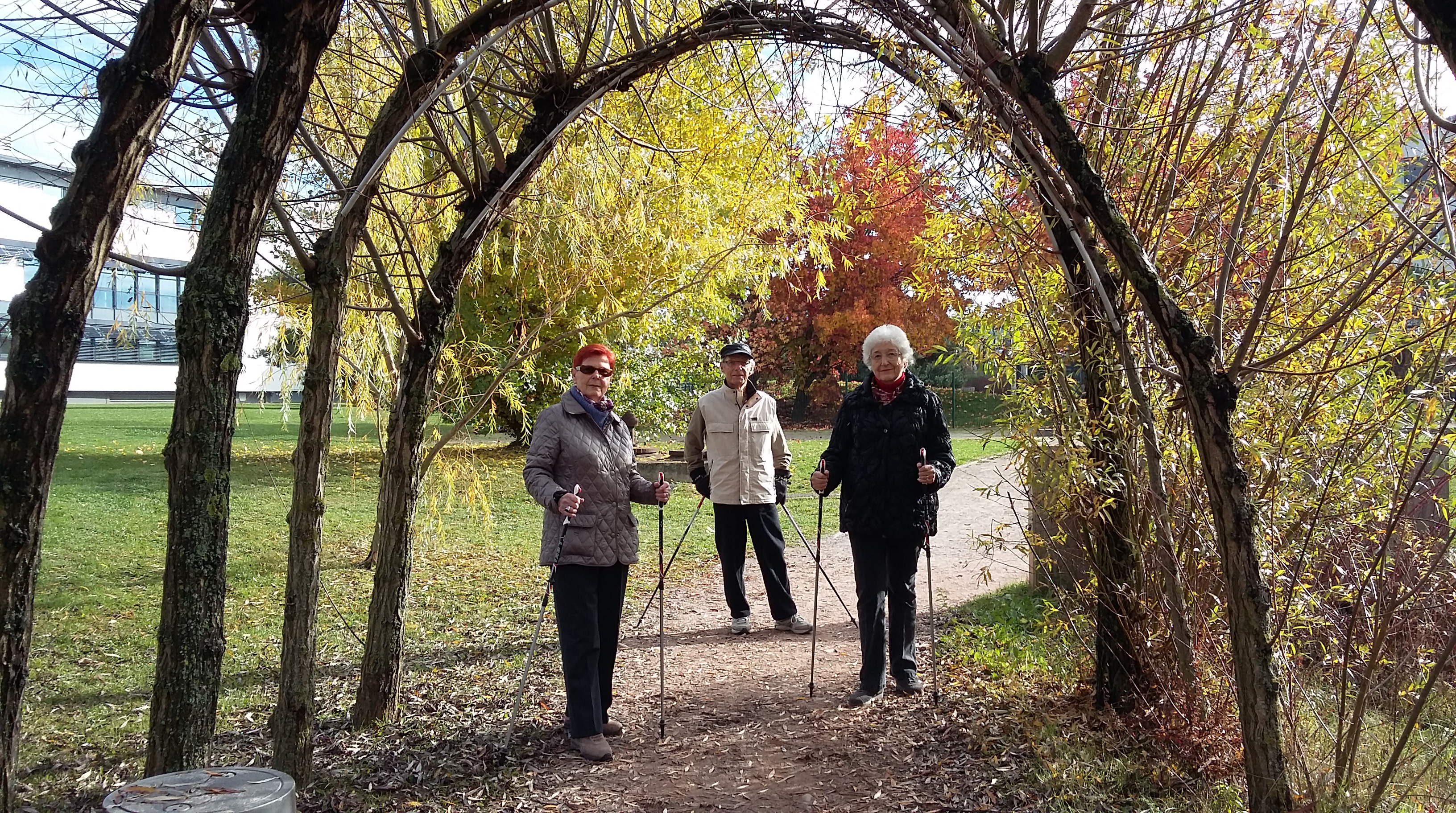Trois personnes âgé marchant avec des bâtons de marche nordique sous un arc de branches, entourées de paysages automnaux.